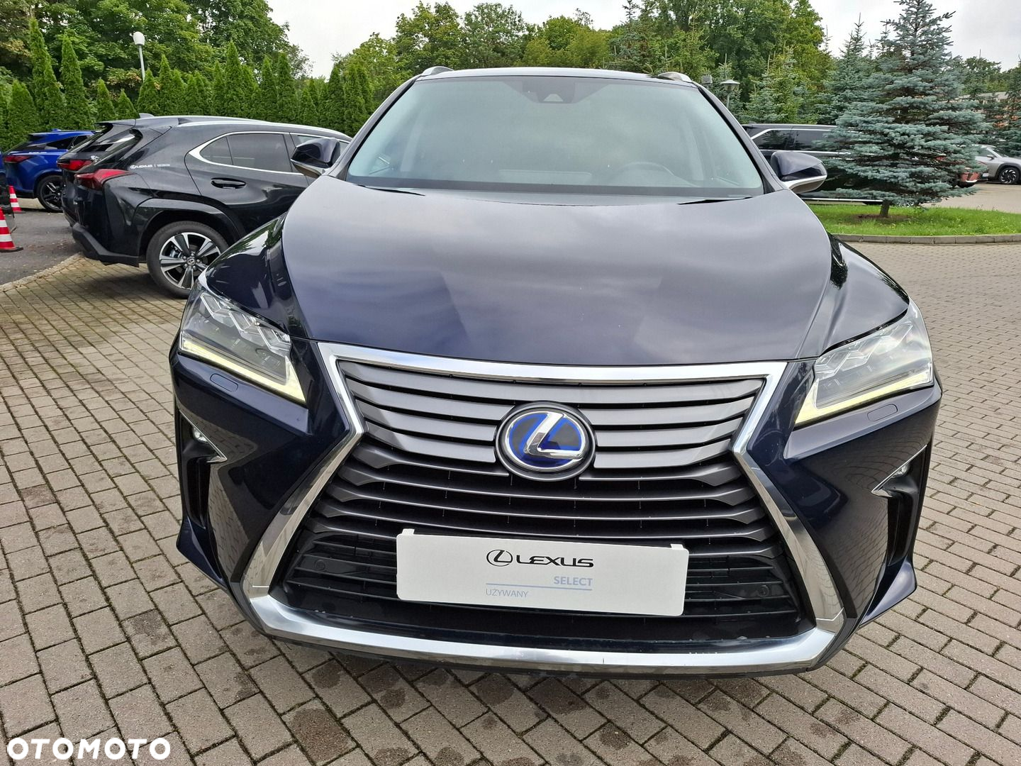 Lexus RX 450h Elegance MY19 - 8