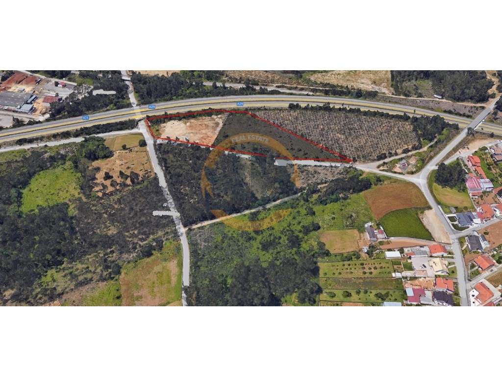 Terreno Construção Urbana/ Industrial Maceda Ovar - Grande imagem: 2/3