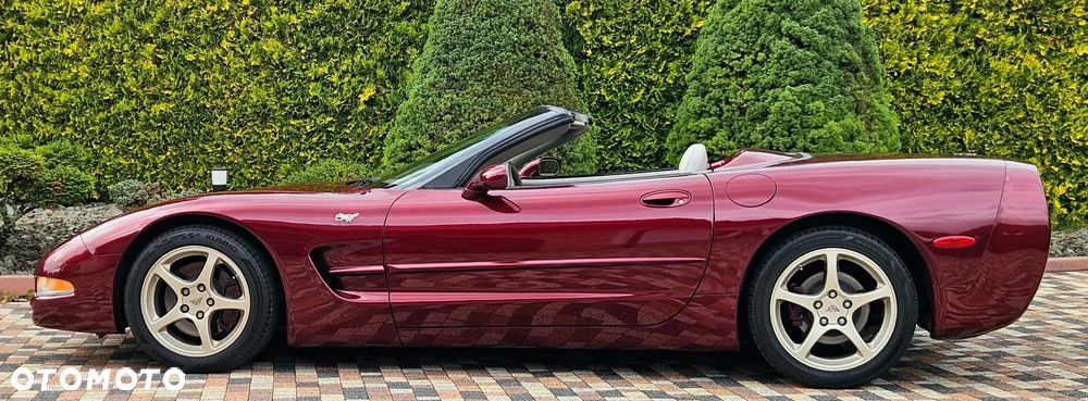 Chevrolet Corvette - 13
