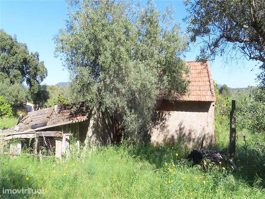 Quinta  para venda - Grande imagem: 4/47