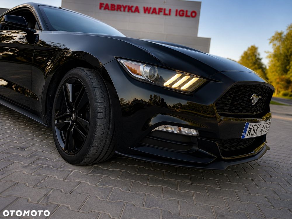 Ford Mustang - 9
