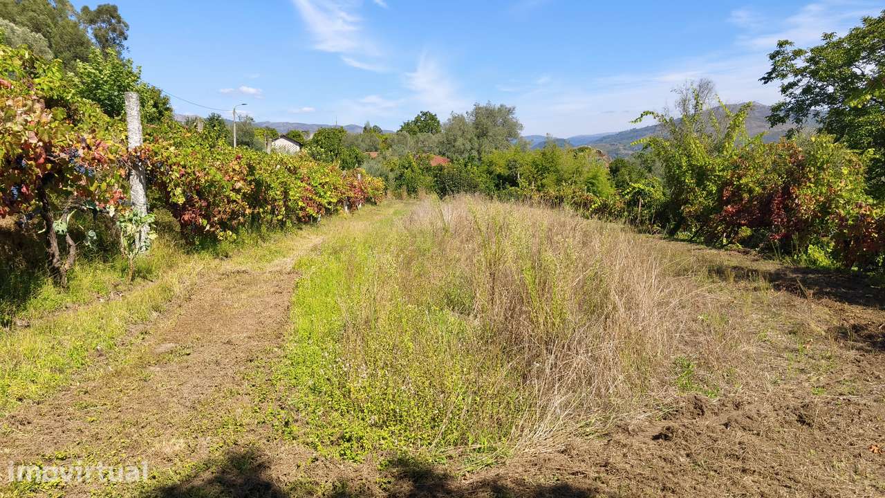 Terreno em Dornelas; Amares - Grande imagem: 2/13