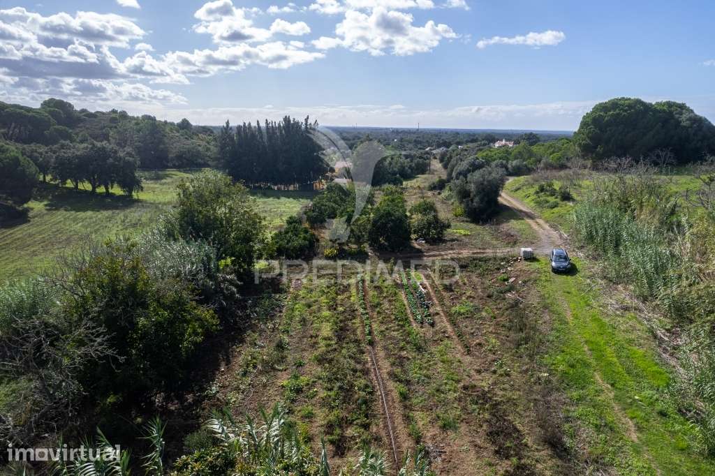 Terreno em Ademas, perto da Lagoa de Santo André - Grande imagem: 4/16