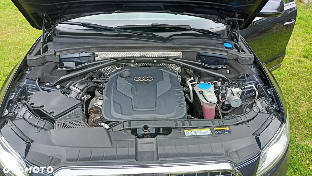 Audi Q5 - 13