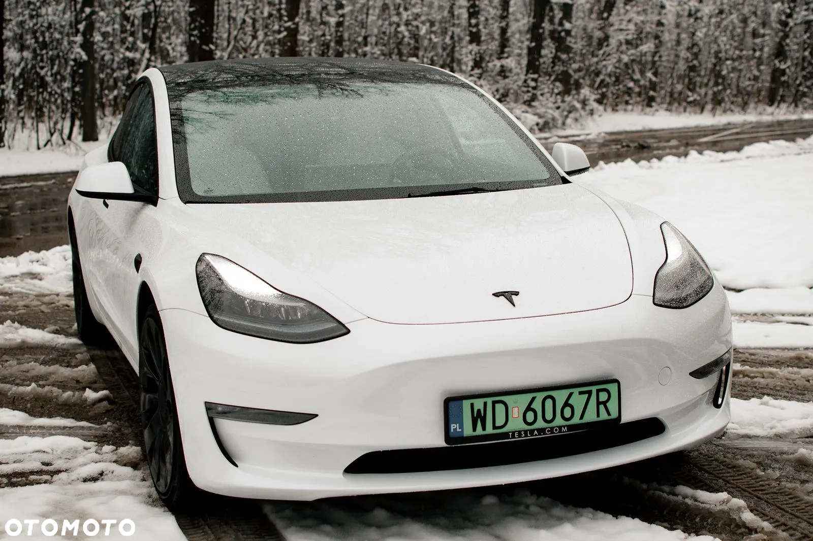 Tesla Model 3 Performance AWD - 15