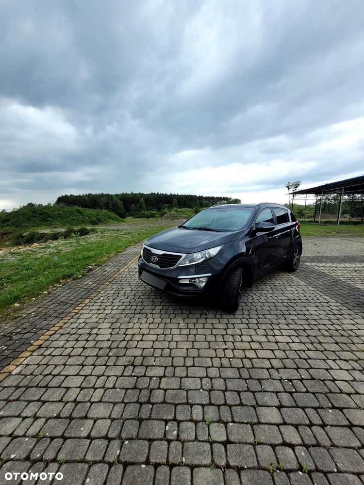 Kia Sportage - 1