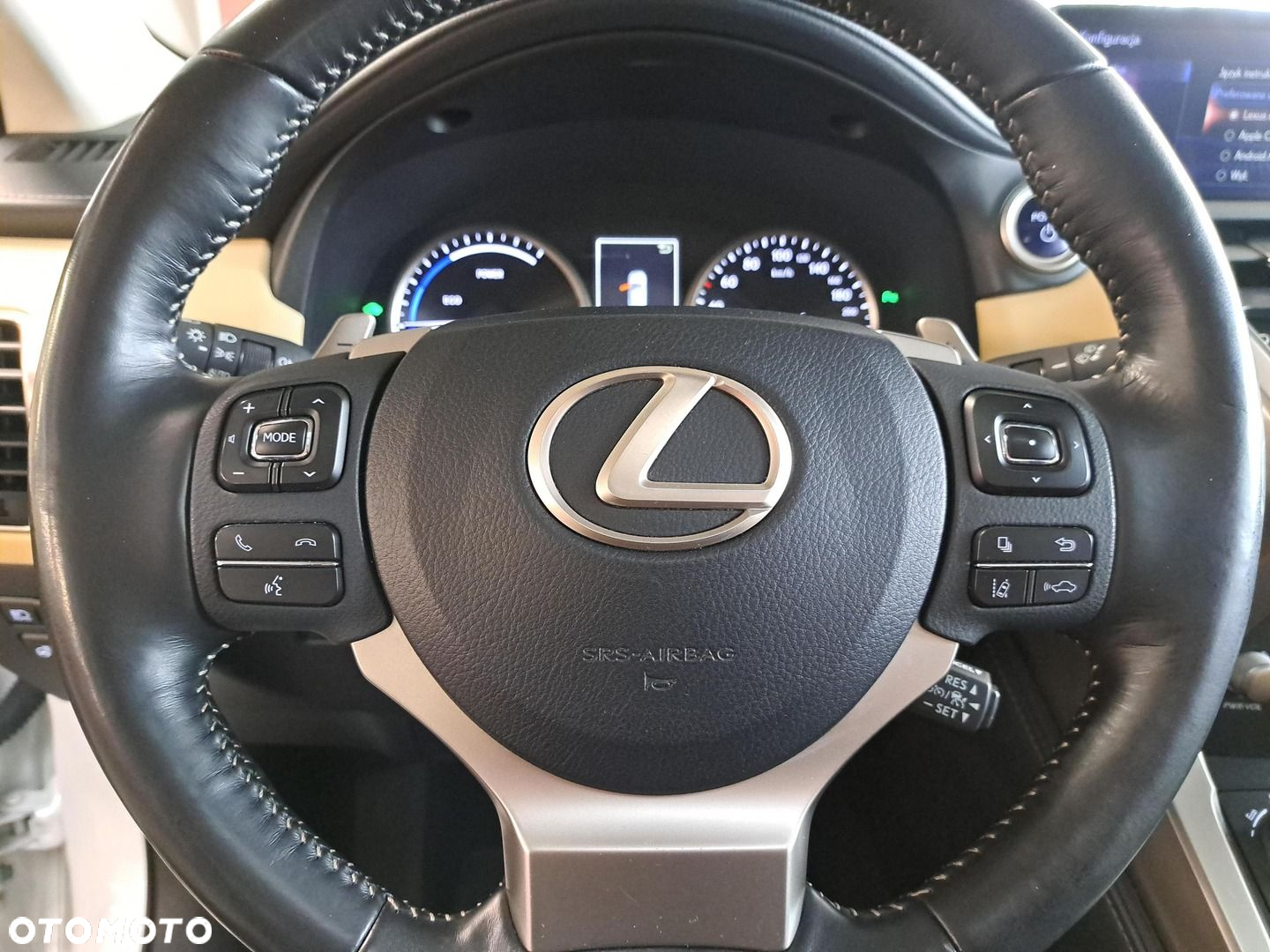 Lexus NX 300h Omotenashi AWD - 33