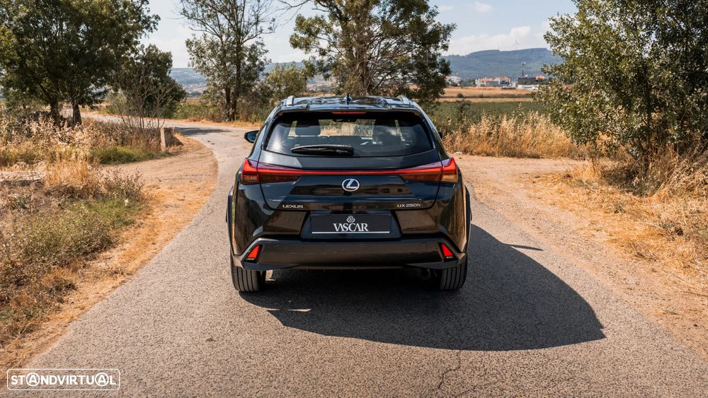 Lexus UX 250h Business - 5