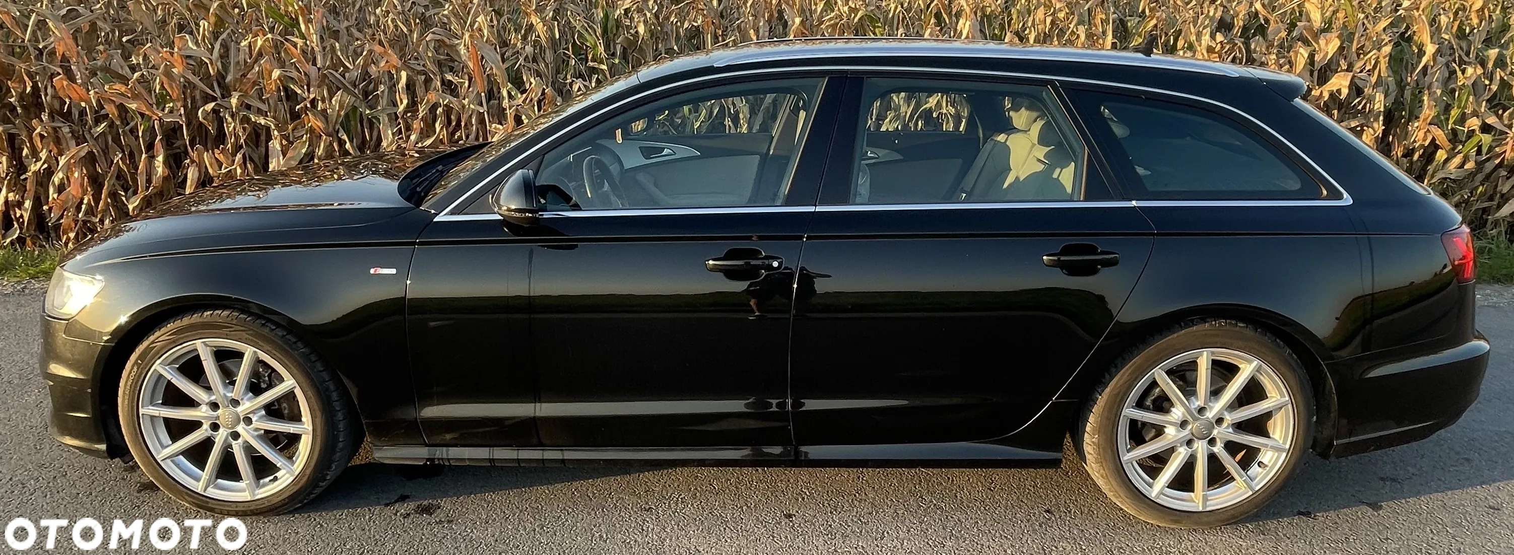 Audi A6 2.0 TDI ultra S tronic - 33