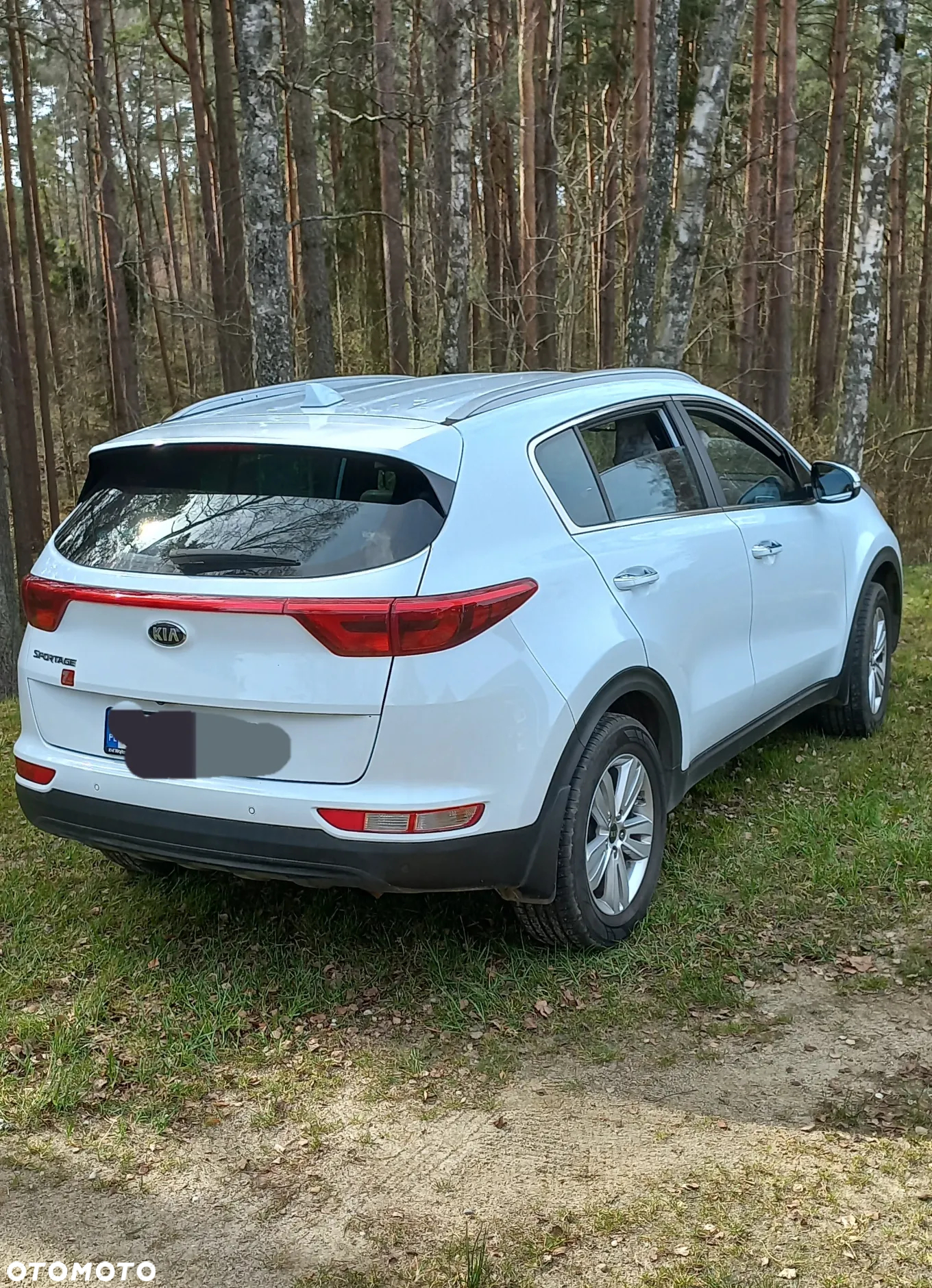 Kia Sportage 1.6 GDI L 2WD - 13
