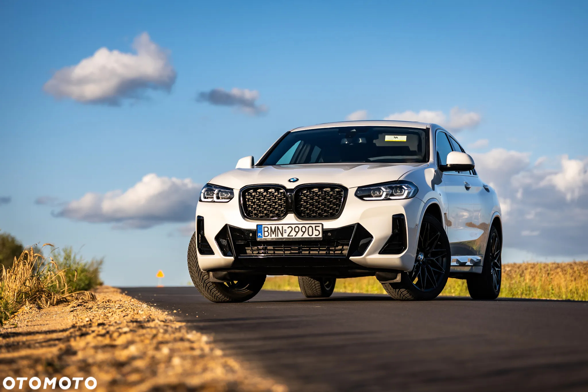 BMW X4 xDrive30i M Sport X - 10