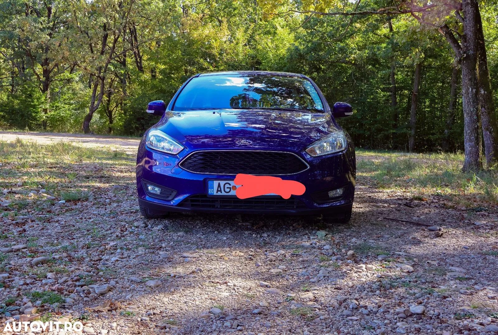 Ford Focus - 1