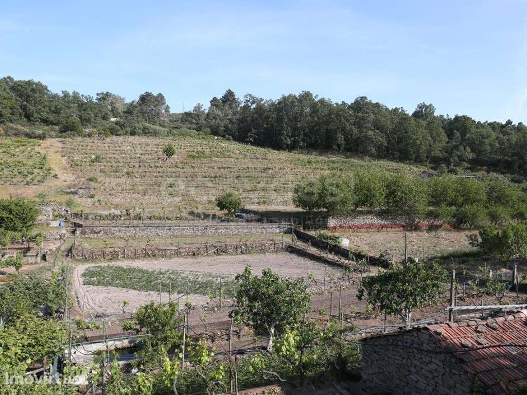 Magnifico terreno agricola com habitação T1- 31507 m2 de área em Ca... - Grande imagem: 4/25