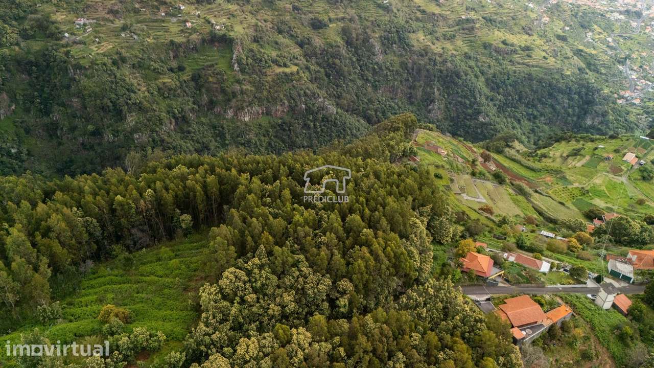 Terreno - Sta Cruz - Grande imagem: 3/14