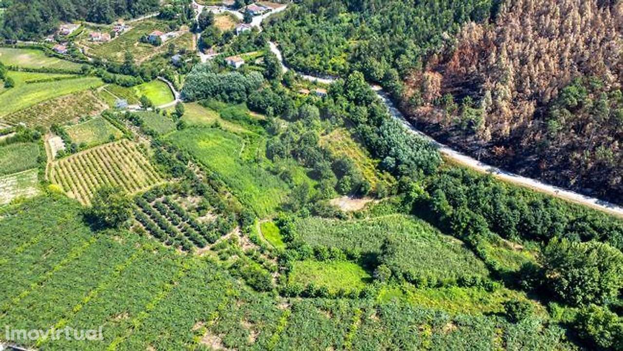 Quinta  para venda - Grande imagem: 2/17