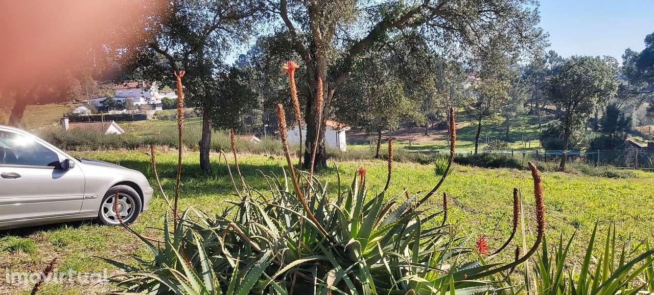 Terreno: "Bouça de Manteiros", ou "das Fontainhas" - Grande imagem: 2/42