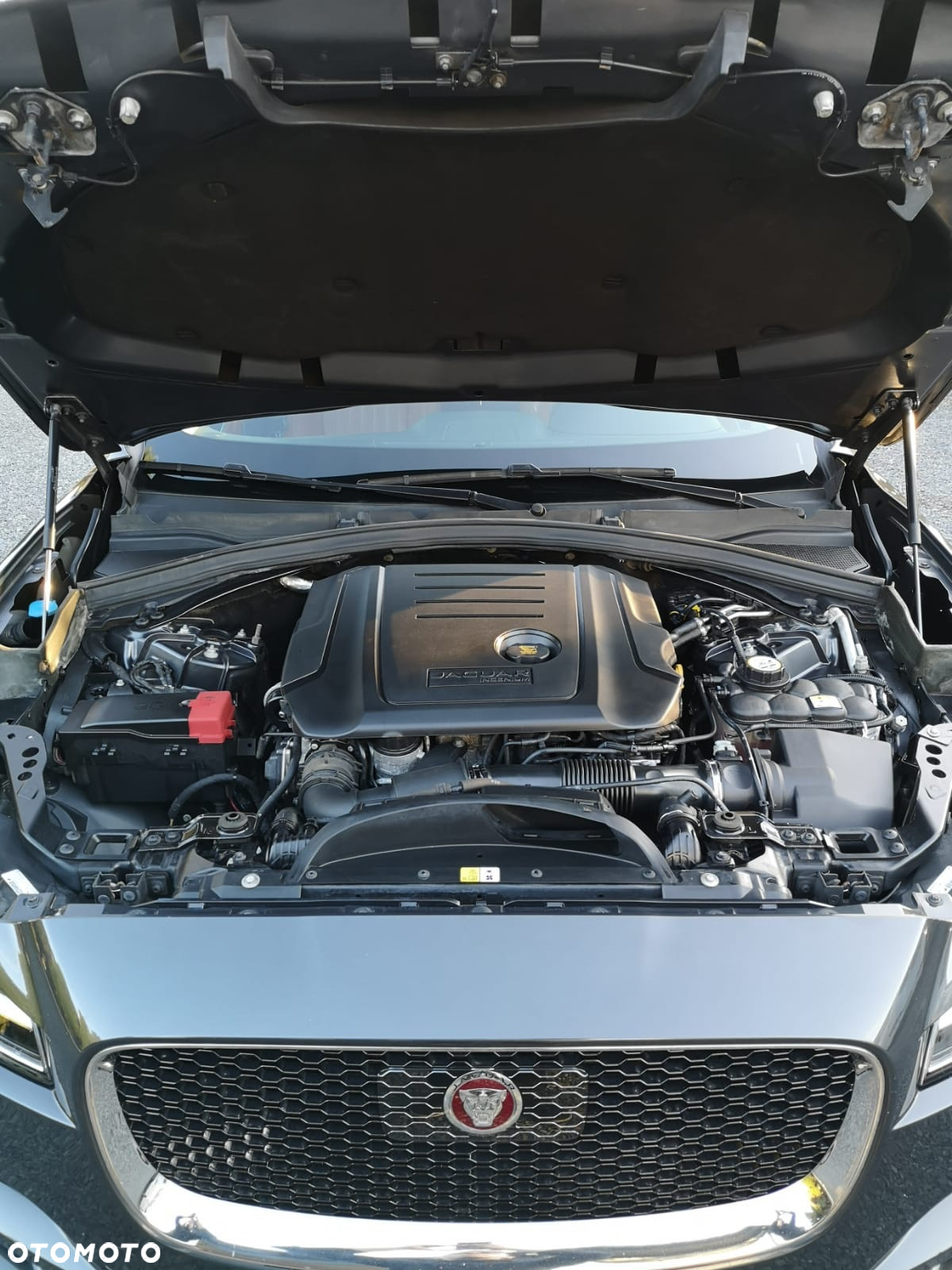 Jaguar F-Pace 2.0 i4D AWD Prestige - 15