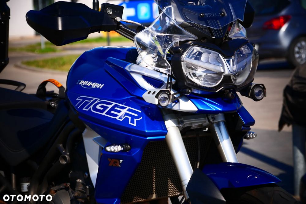Triumph Tiger - 16