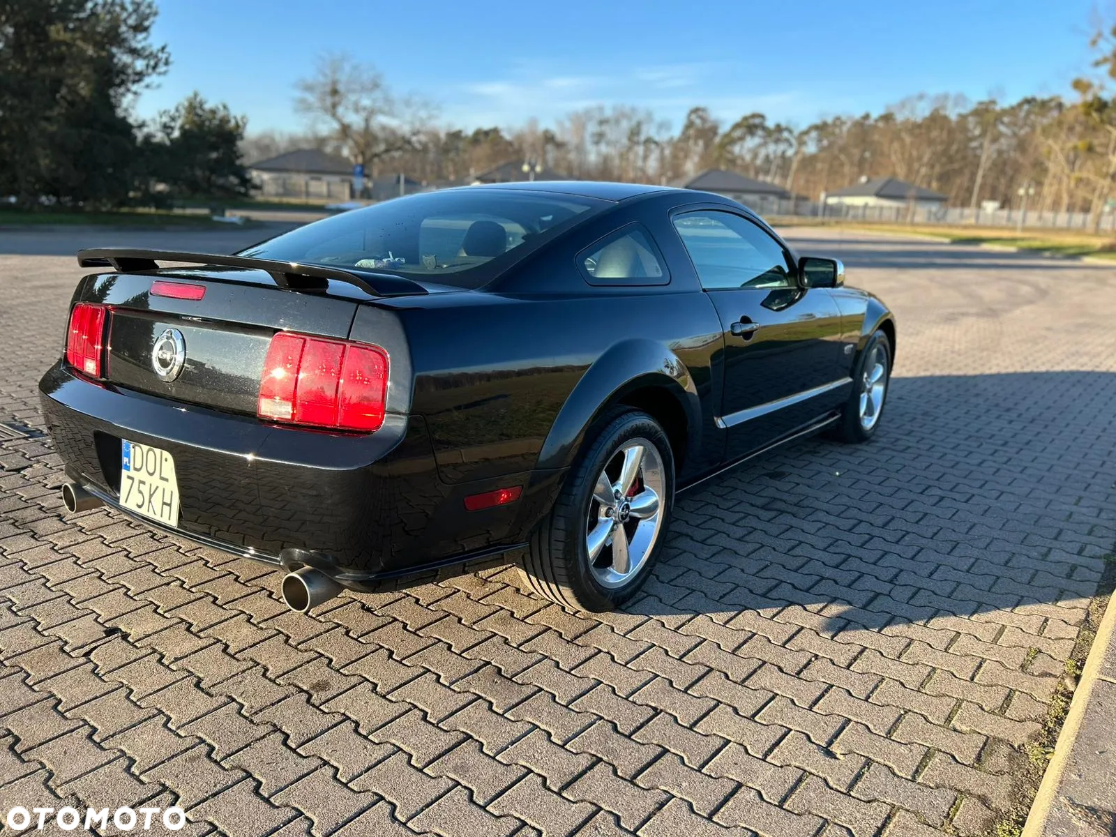Ford Mustang - 5