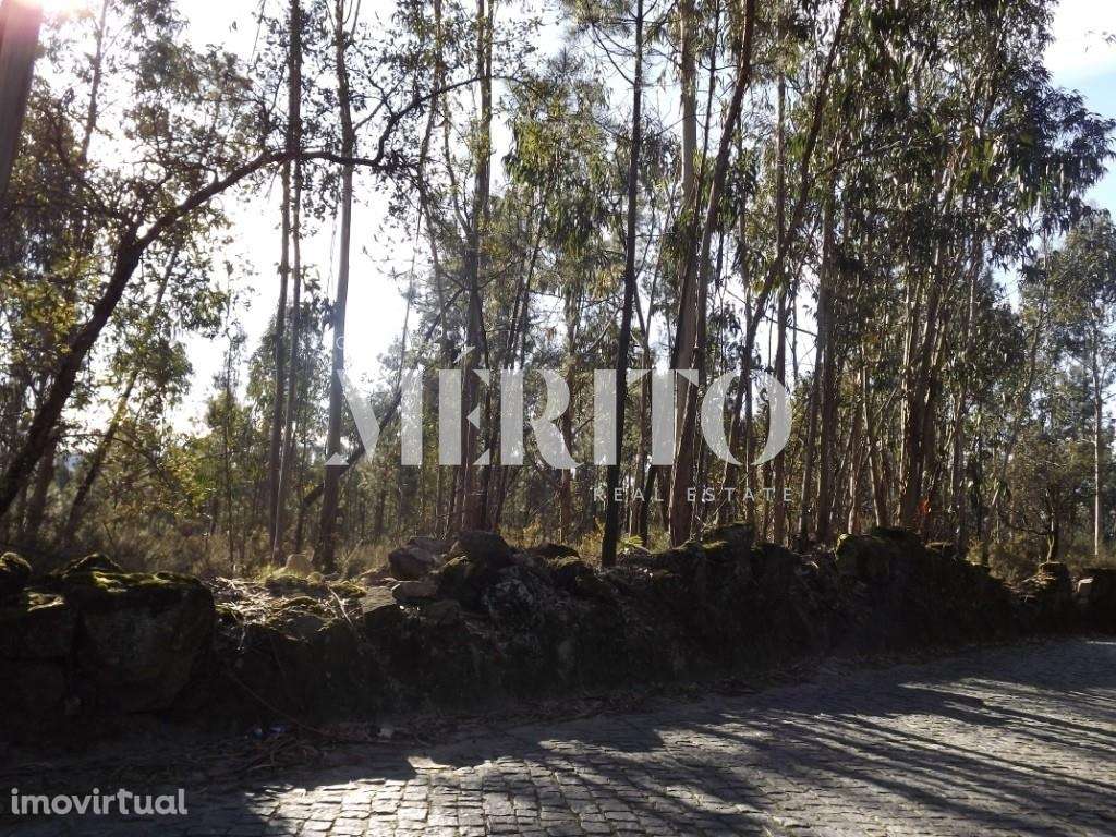 Terreno plano com 11.000m2 de construção - Grande imagem: 3/4