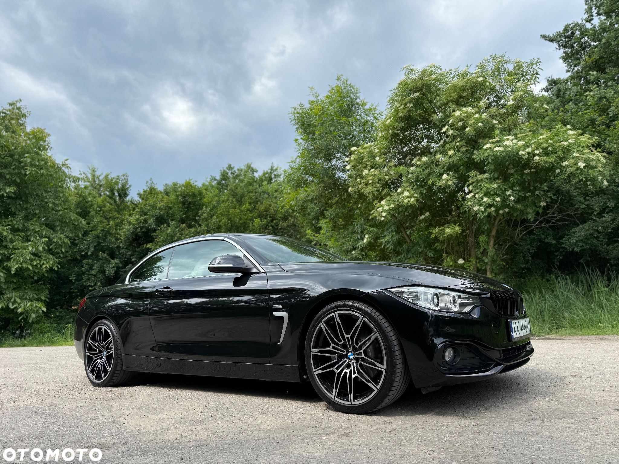 BMW Seria 4 420d Cabrio Sport-Aut Sport Line - 1