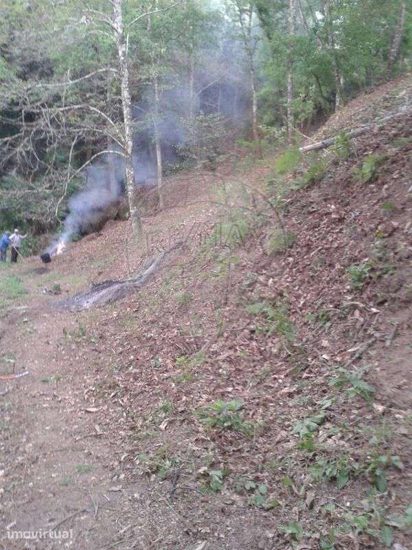 Terreno  para venda - Grande imagem: 2/3