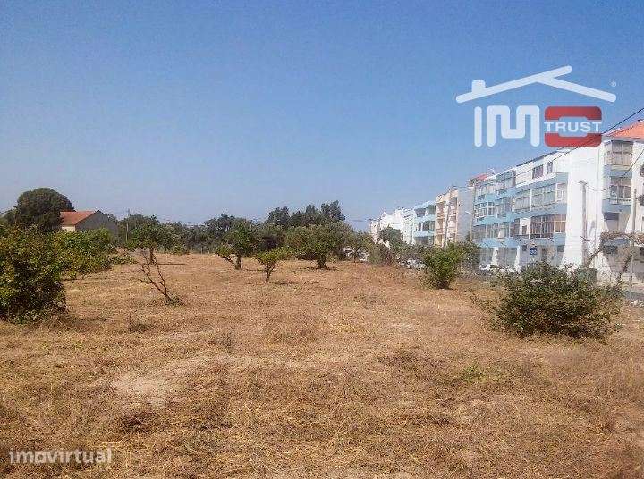 Quinta com 35000 m2 - Seixal - Grande imagem: 5/10