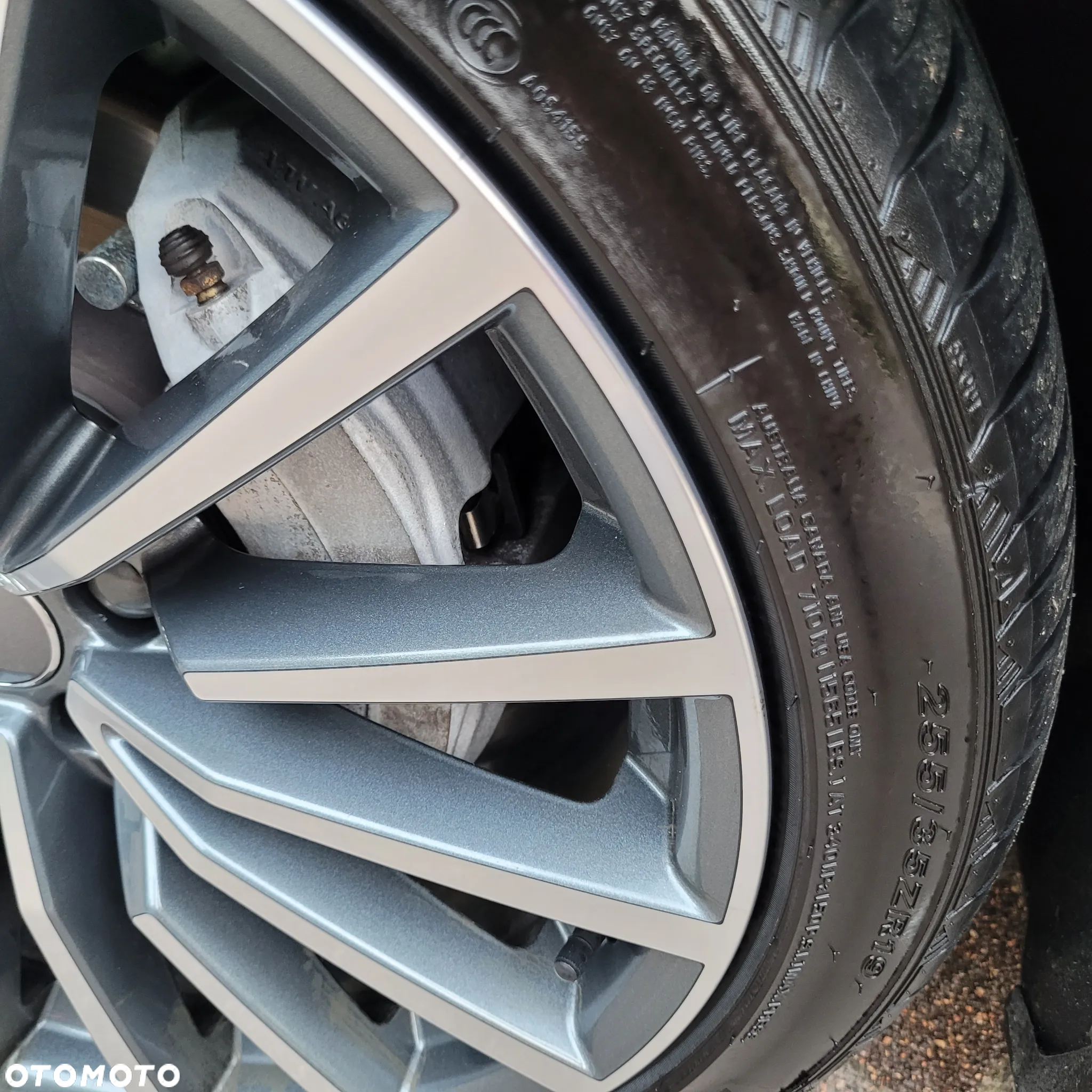 Audi A5 Coupe 40 TDI S tronic S line - 13