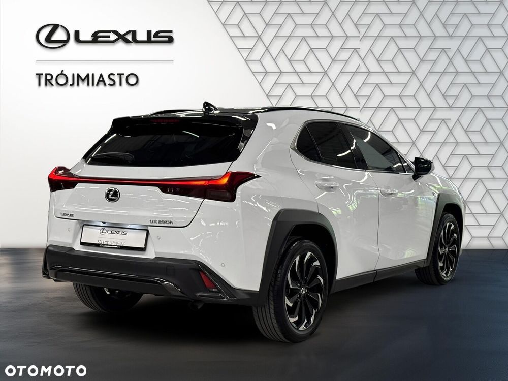 Lexus UX 250h GPF F Sport Design 2WD - 8