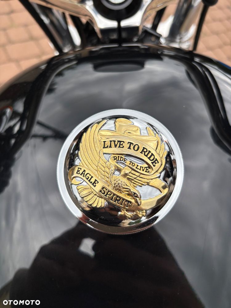 Harley-Davidson Sportster Superlow - 15