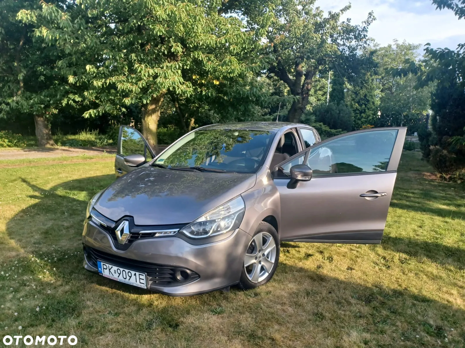 Renault Clio - 9