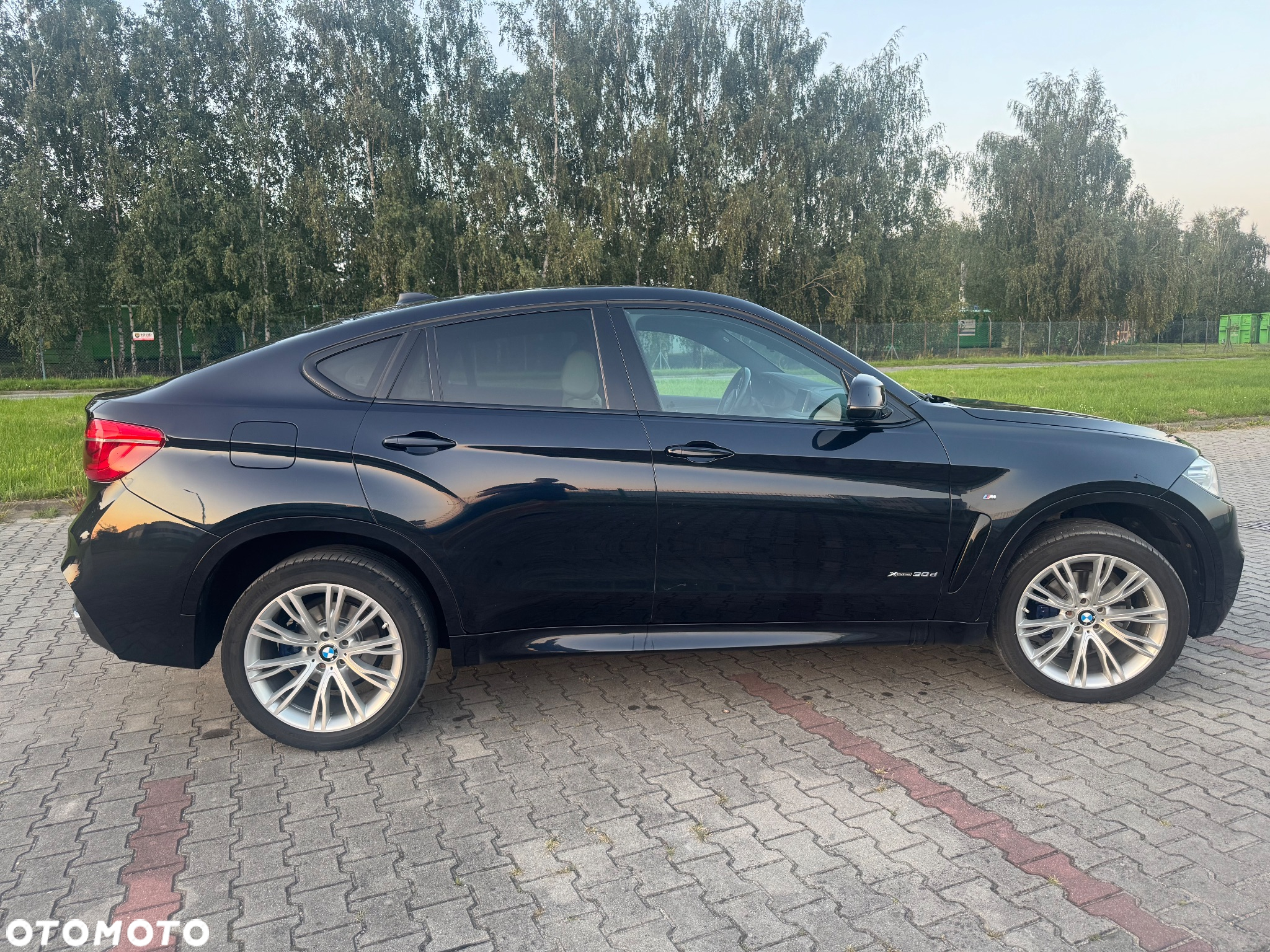 BMW X6 xDrive30d - 5