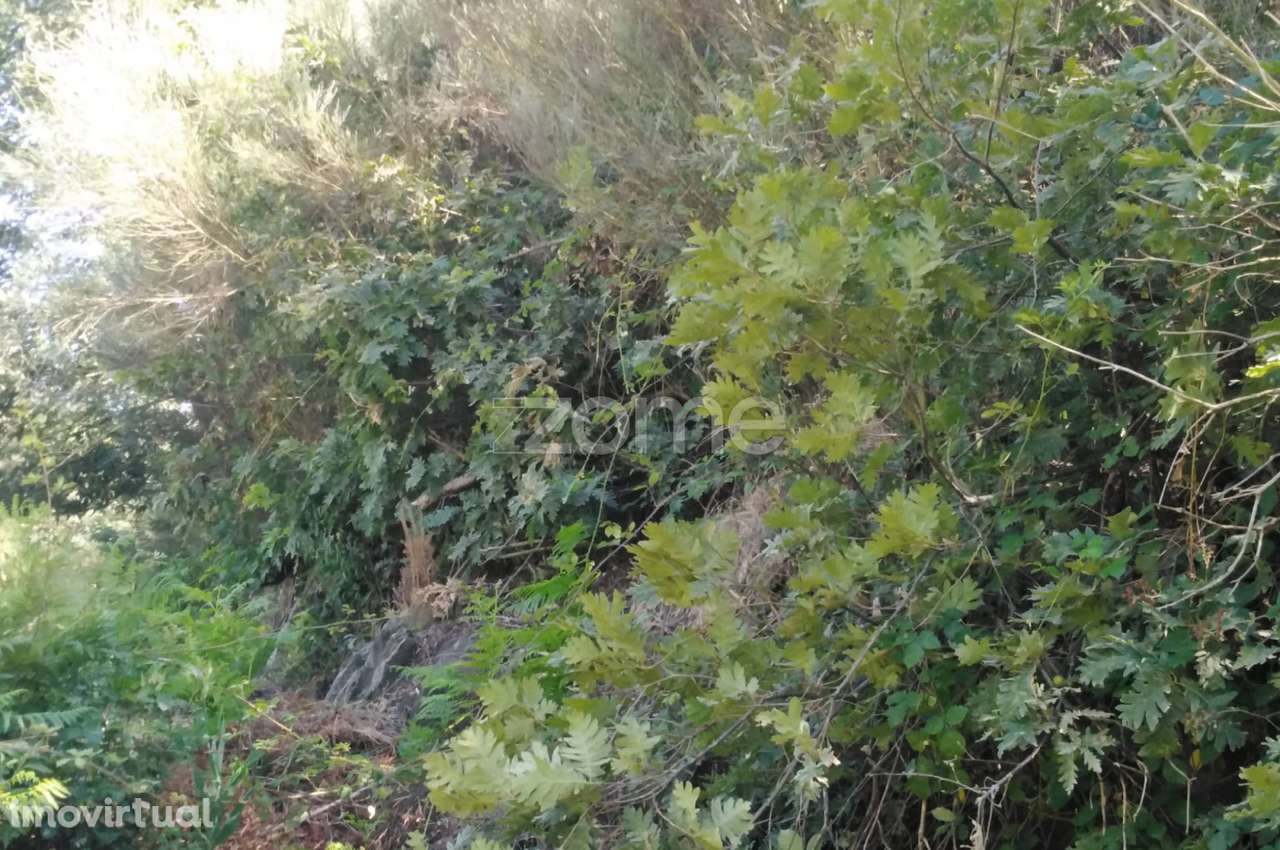 Terreno 1383m2 em Sameice e Santa Eulália - Seia - Grande imagem: 2/18