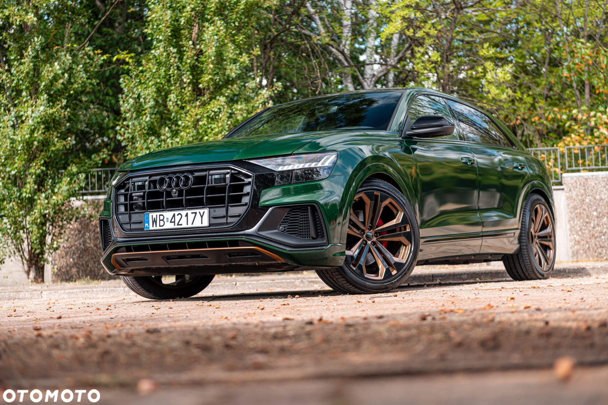 Audi Q8 - 7