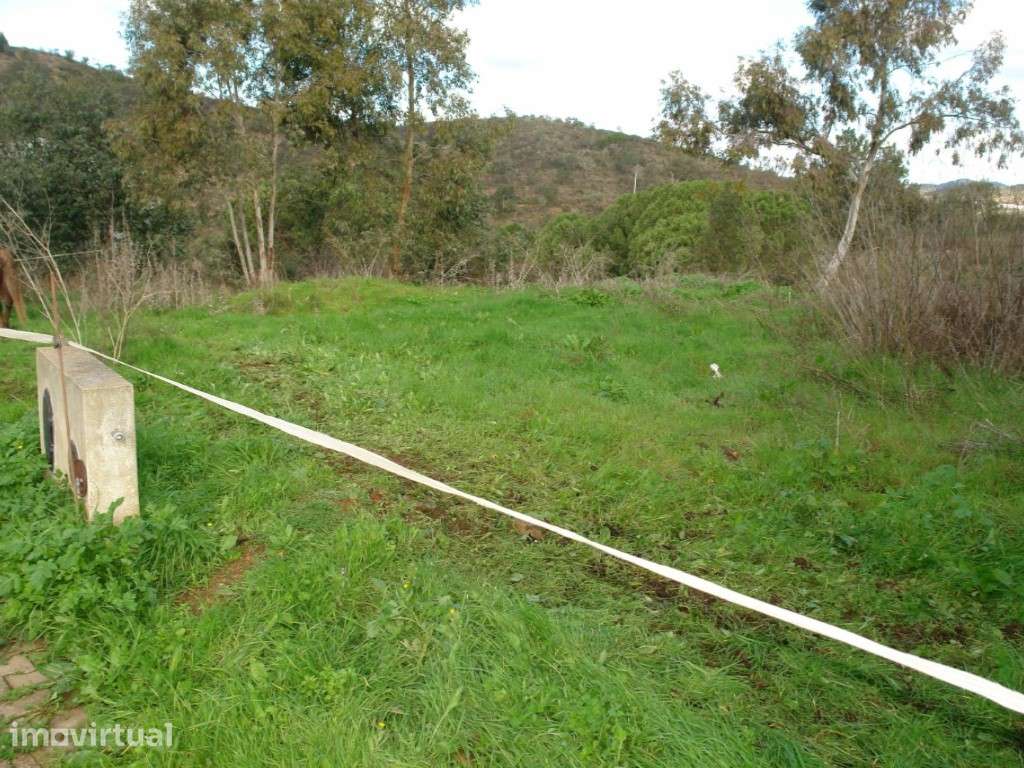 Terreno Industrial - Grande imagem: 2/3