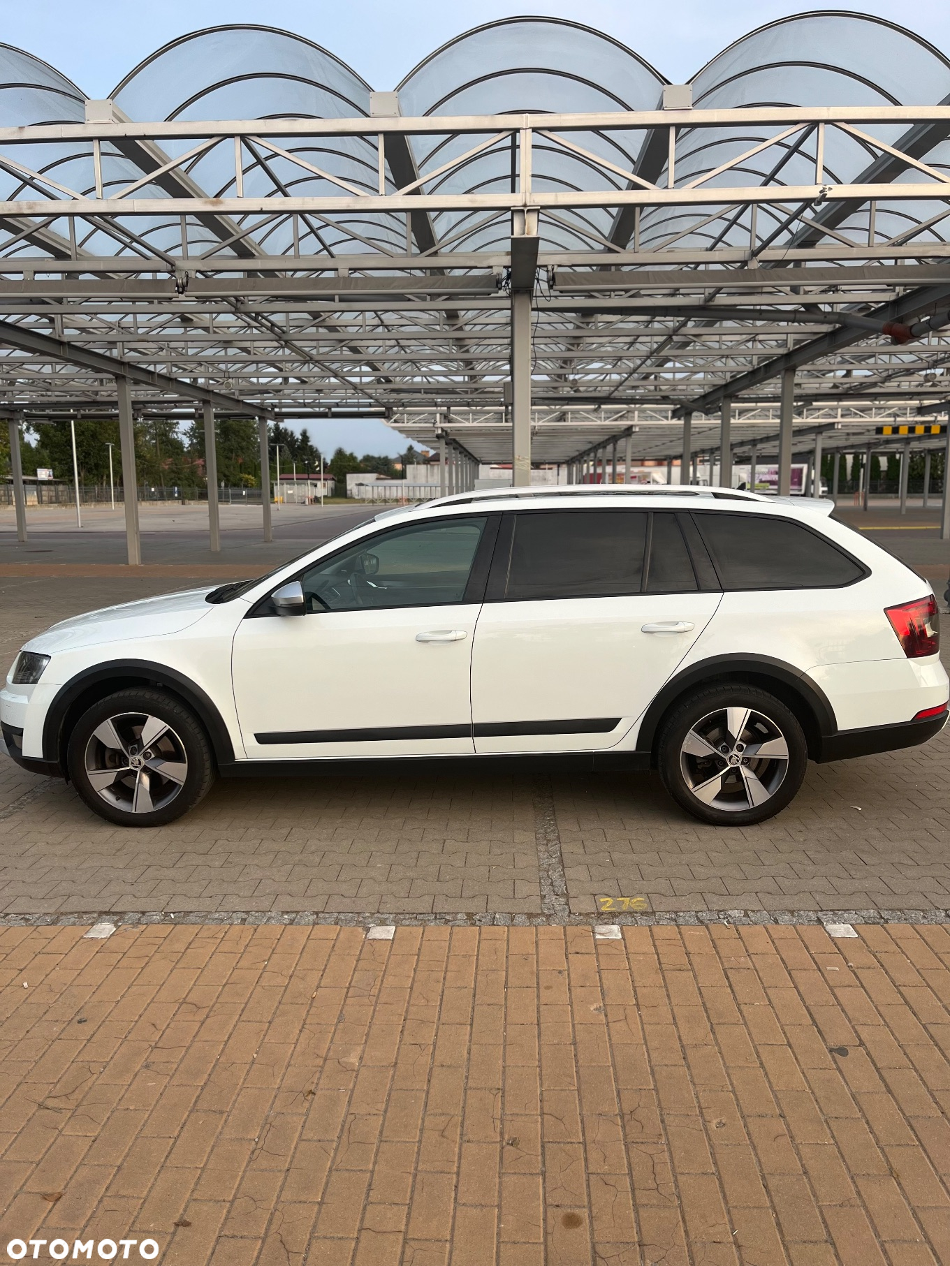 Skoda Octavia Combi 2.0 TDI (Green tec) 4x4 DSG Scout - 3