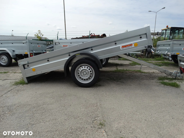 Neptun 253 ptw