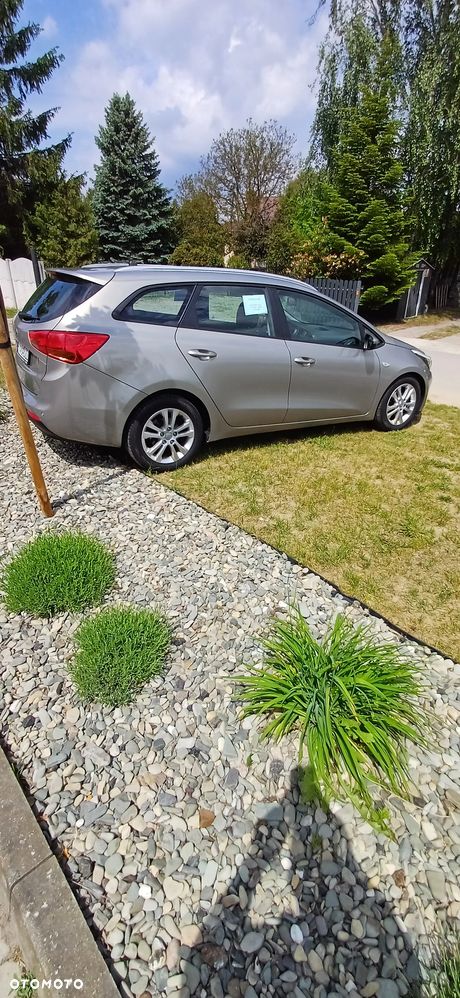 Kia Ceed - 2