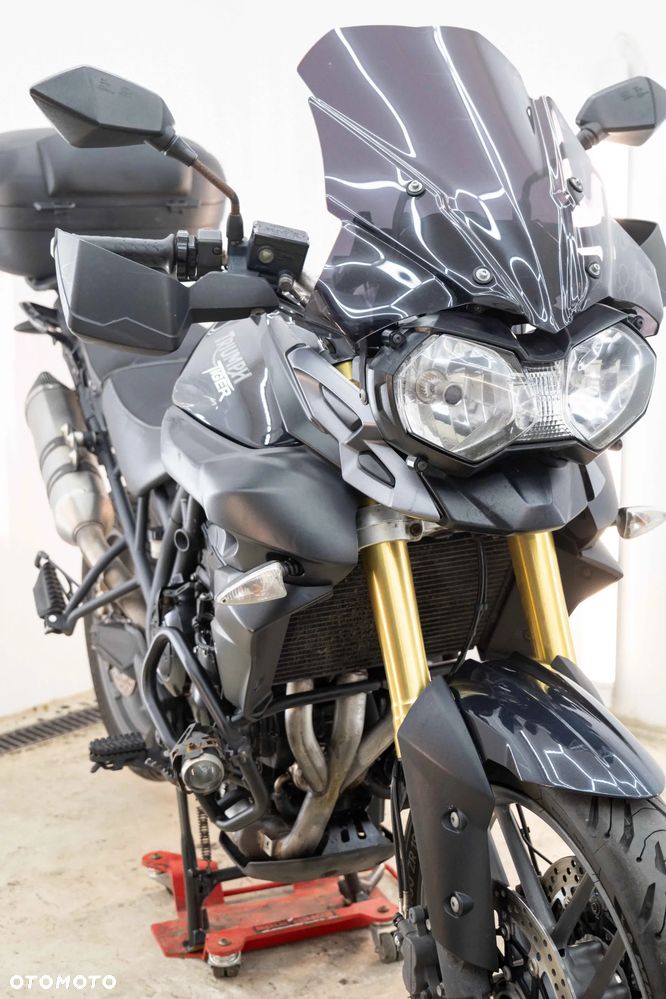 Triumph Tiger - 11