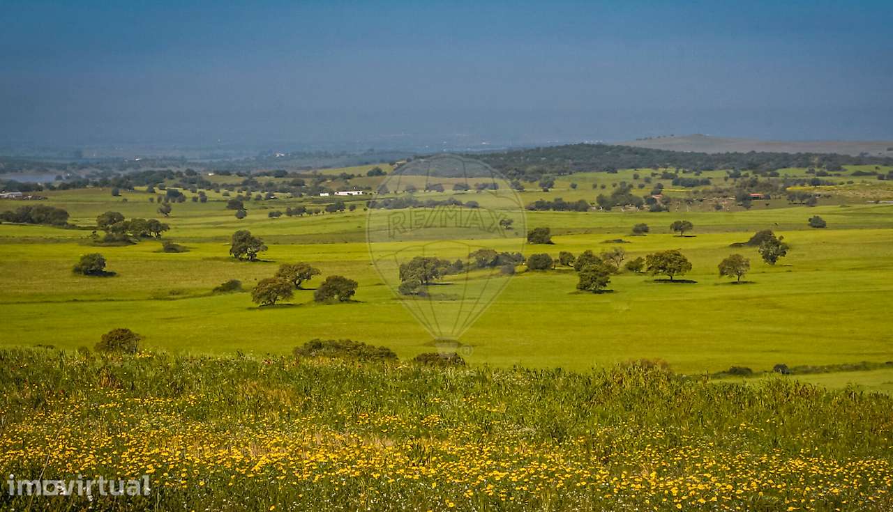Terreno  para venda - Grande imagem: 3/3