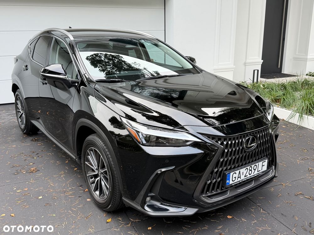 Lexus NX 350h Business AWD - 4