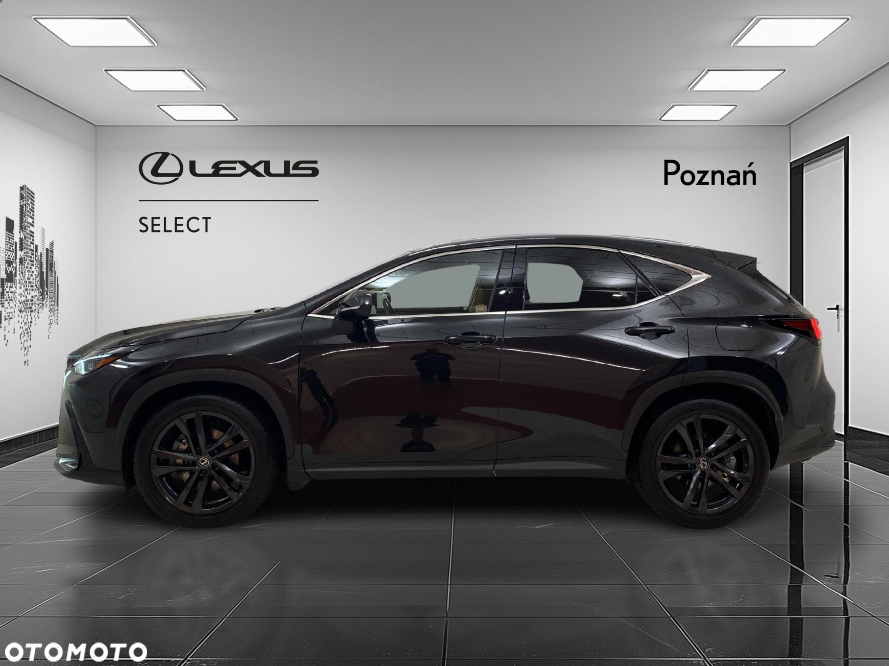 Lexus NX - 5