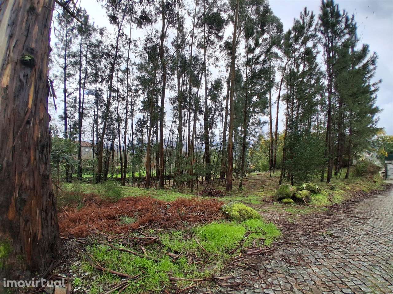 Terreno para Investimento Marco de Canaveses - Grande imagem: 2/25