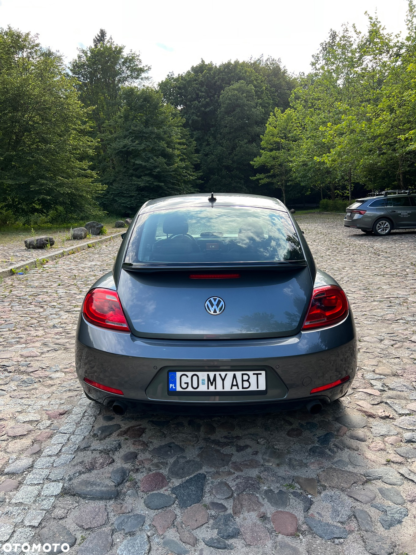 Volkswagen Beetle 2.0 TSI Sport DSG - 7