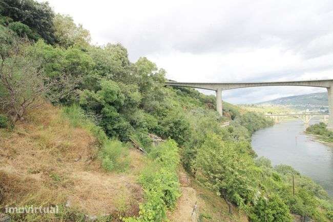Moradia com Vinha e Produção de Vinho junto ao Rio Douro - Grande imagem: 4/9