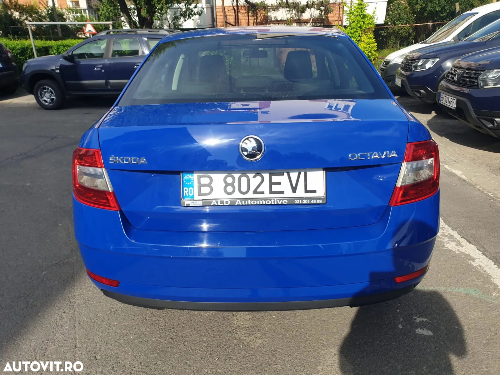 Skoda Octavia 1.6 TDI Avantaj - 7