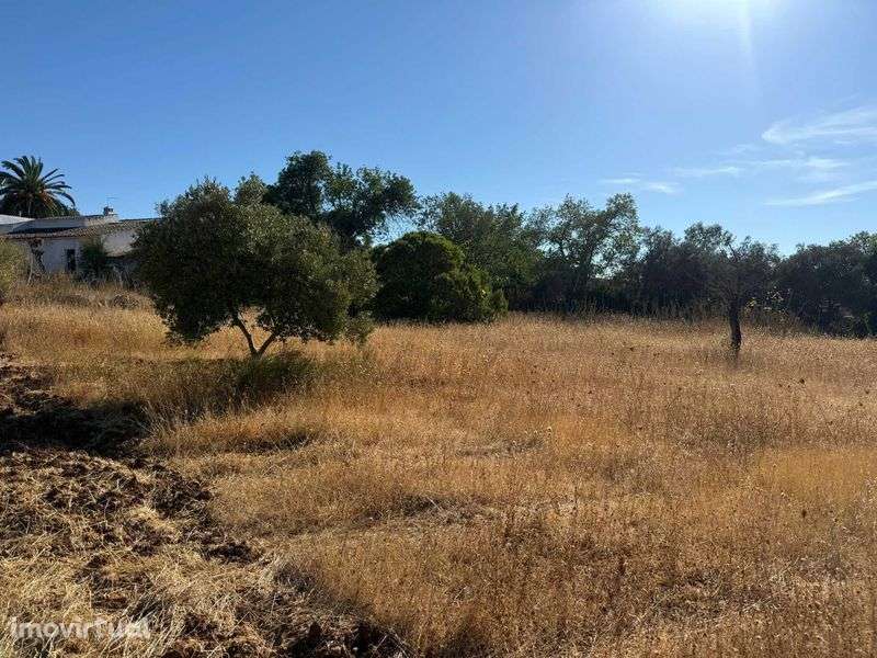 Terreno em Gorjões - Faro - Grande imagem: 2/12