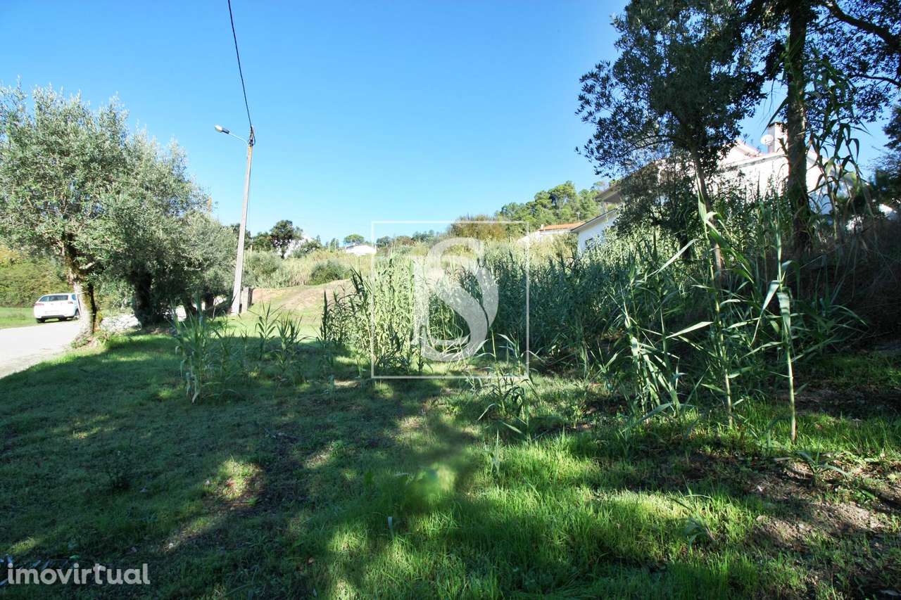 Terreno  Venda em Nossa Senhora da Piedade,Ourém - Grande imagem: 3/4