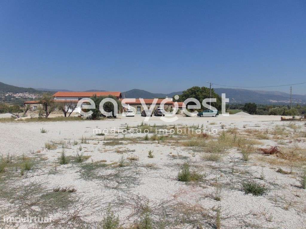 Quinta com Restaurante, Alojamento, Praia Fluvial e Produção de azeite - Grande imagem: 4/49