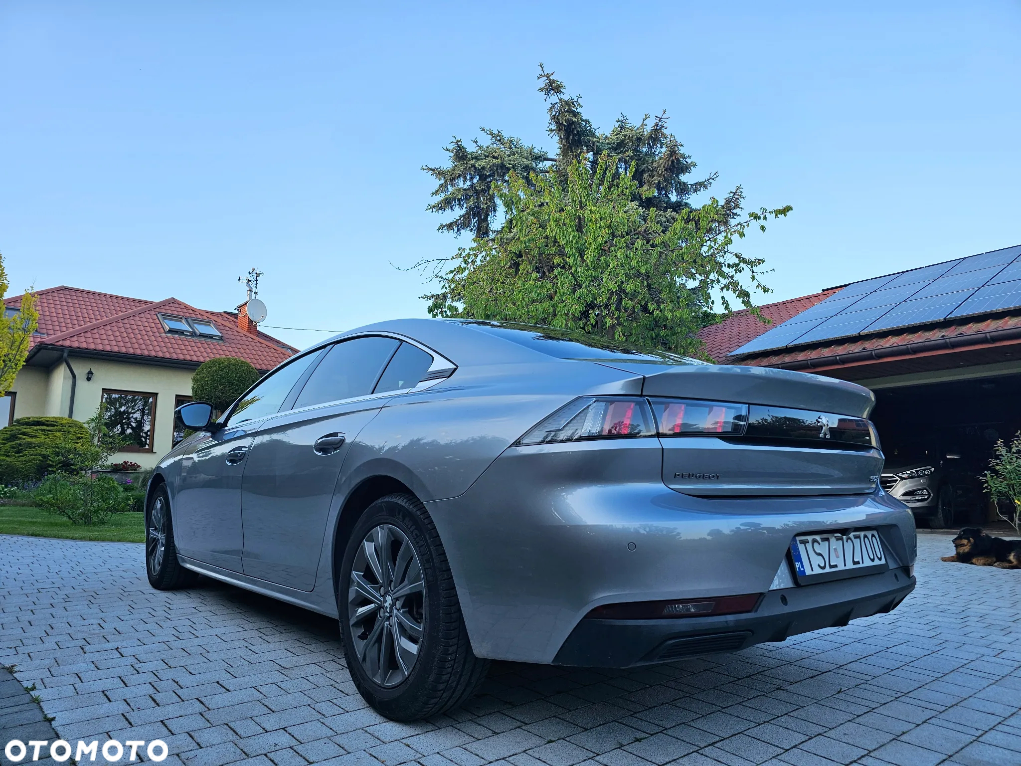 Peugeot 508 1.5 BlueHDi Allure S&S EAT8 - 9